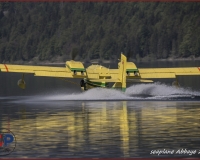 TSR Watermark - 0221